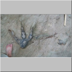 100_0579 (2009-26-07)m.JPG